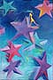 STAR STEPPER,  paintings  by  contemporary artist,  DC Langer