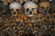 The Catacombs of Paris- DC Langer